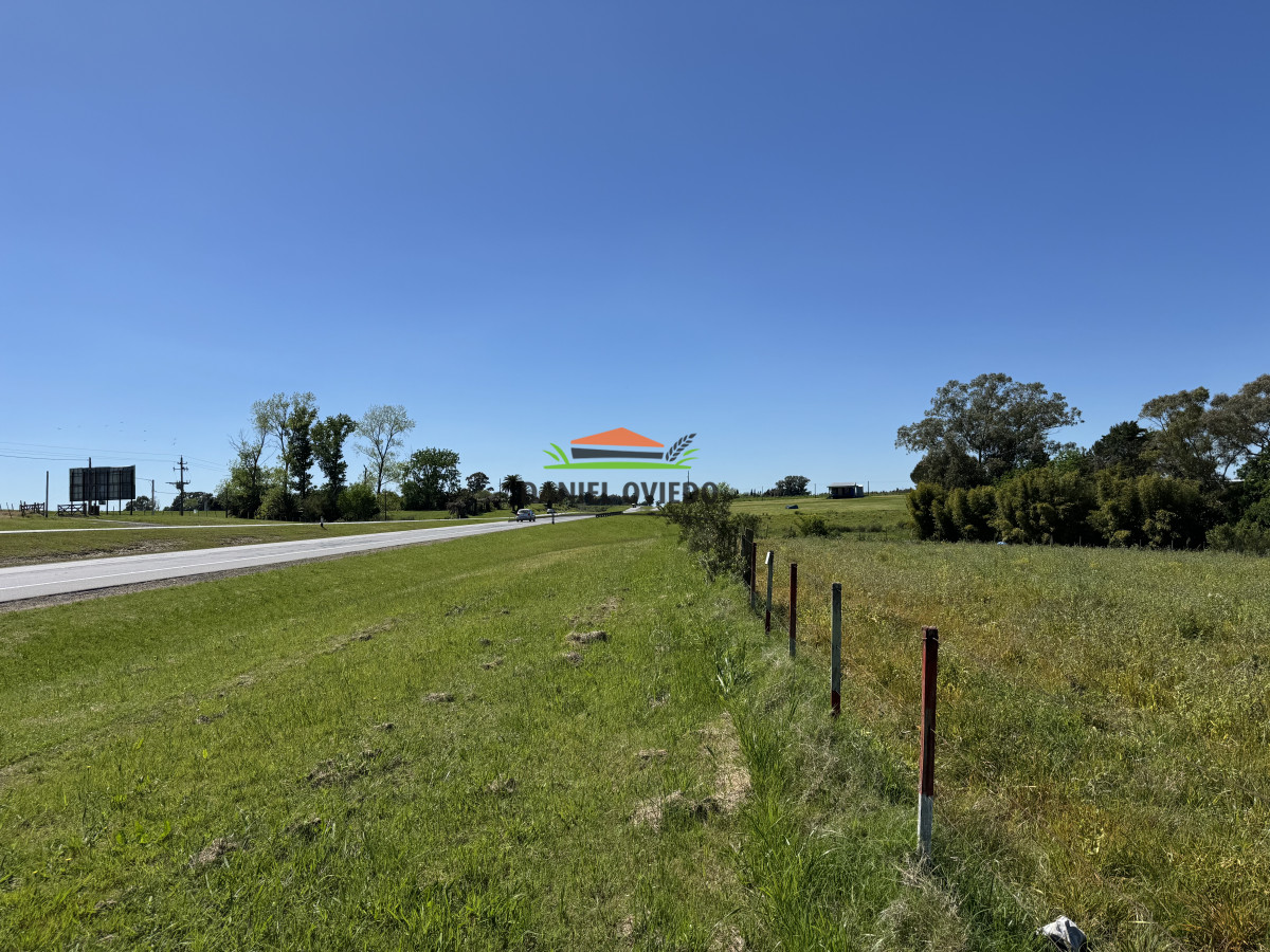 Chacra ID.283/Chacra-en-venta-sobre-Ruta-1-km-117---Inmejorable-ubicación - Chacra en venta sobre Ruta 1 km 117 - Inmejorable ubicación