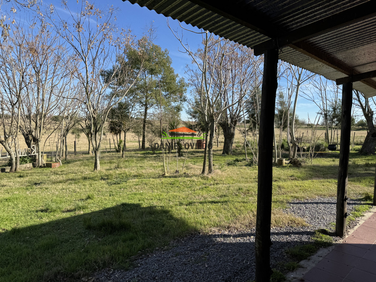 Chacra ID.251/Oportunidad-Chacra-30-Has-en-Soriano-con-Casa,-Galpón-y-Mejoras - Oportunidad Chacra 30 Has en Soriano con Casa, Galpón y Mejoras