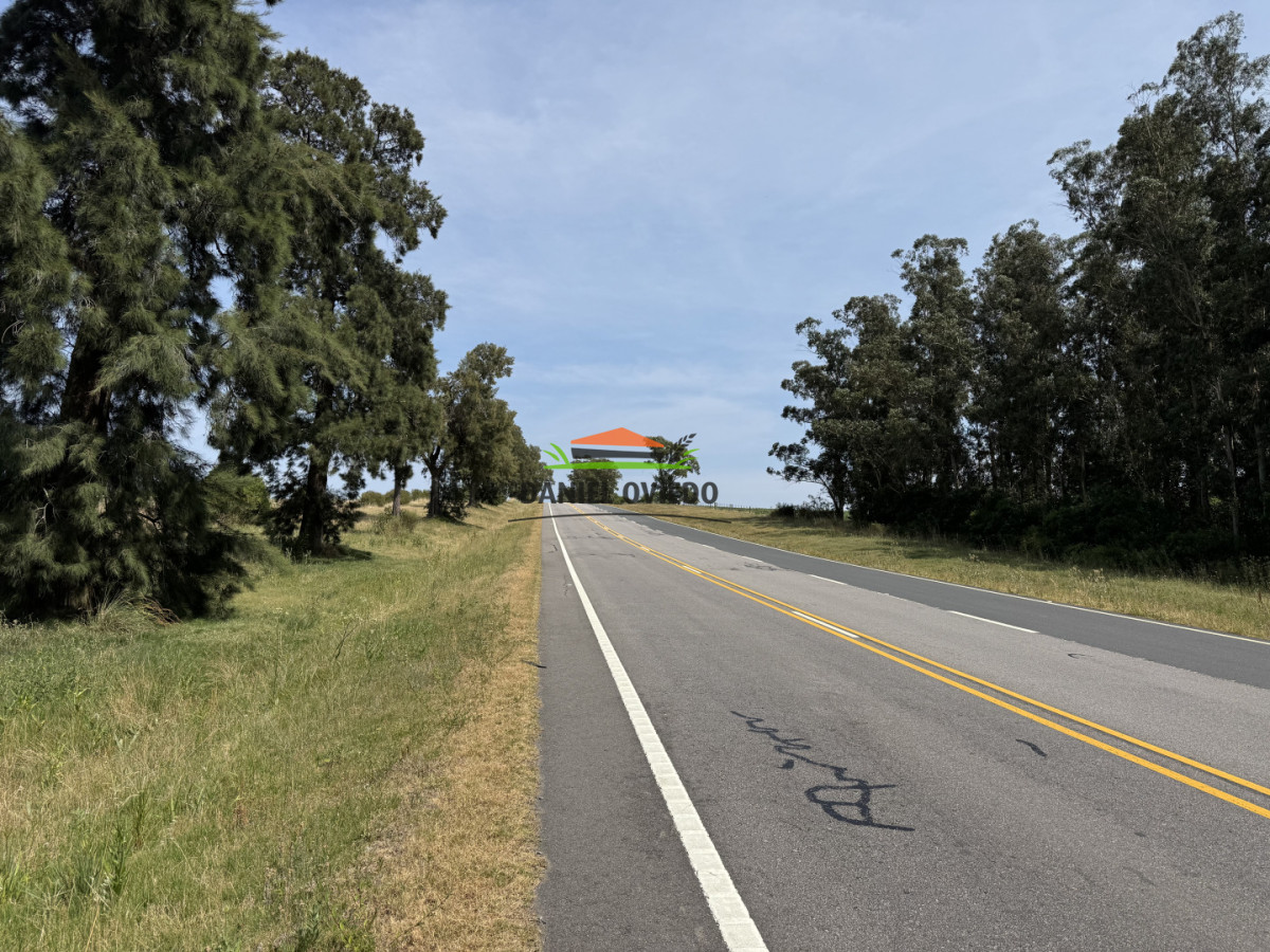 Chacra ID.337/Chacra-de-8-h - Chacra de 8 hás sobre Ruta 23 - San José