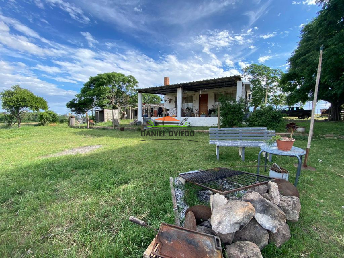 Chacra ID.48/Chacra-de-10.3-hás-en-venta-a-metros-de-ruta-1,-La-Paz. - Chacra de 10.3 hás en venta a metros de ruta 1, La Paz.