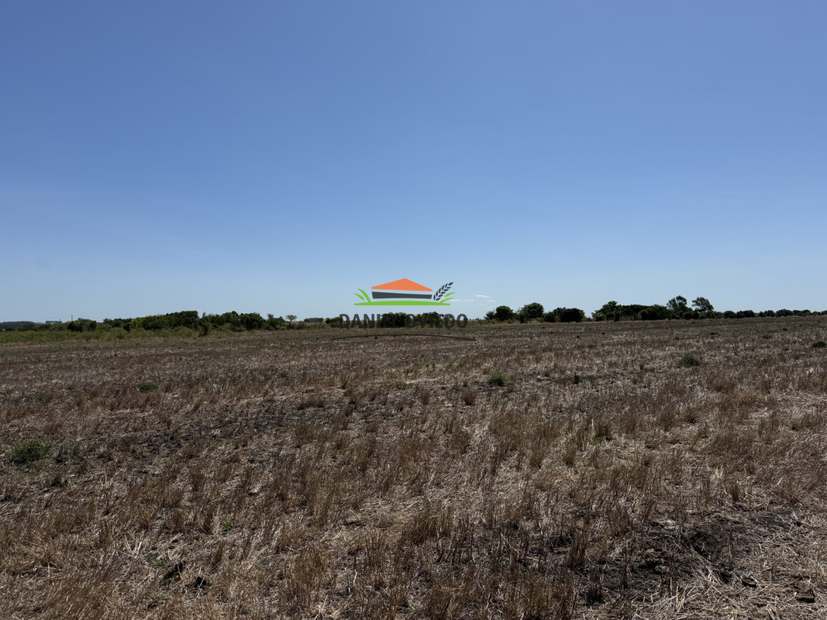 Chacra ID.337/Chacra-de-8-h - Chacra de 8 hás sobre Ruta 23 - San José