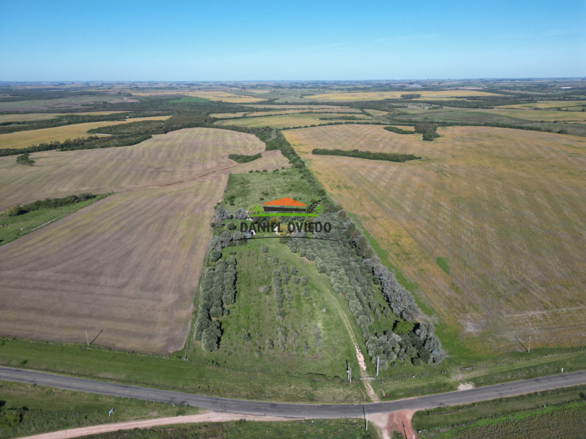 Chacra ID.382/Chacra-ideal-para-vivir-y-disfrutar-de-la-naturaleza-con-casa,-olivos-y-5-has-en-venta,-Carmelo. - Chacra ideal para vivir y disfrutar de la naturaleza con casa, olivos y 5 has en venta, Carmelo.