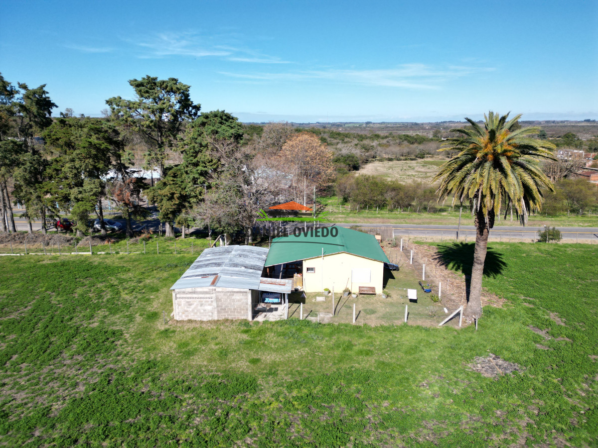 Chacra ID.240/Excelente-chacra-en-venta-con-3-casas-ubicada-a-5-km-de-Carmelo. - Excelente chacra en venta con 3 casas ubicada a 5 km de Carmelo.