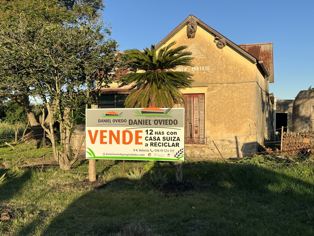 Chacra ID.49 - Muy buena ubicación chacra en venta en una de las mejores zonas de Nueva Helvecia.