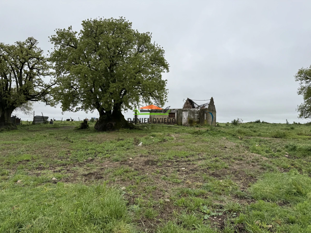 Chacra ID.282/Inmejorable-punto-sobre-Ruta-23---Chacra-lista-para-desarrollar - Inmejorable punto sobre Ruta 23 - Chacra lista para desarrollar