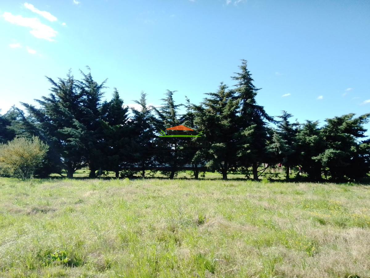 Chacra ID.58 - Chacra en venta a 2 Km de Carmelo, increíble ubicación.
