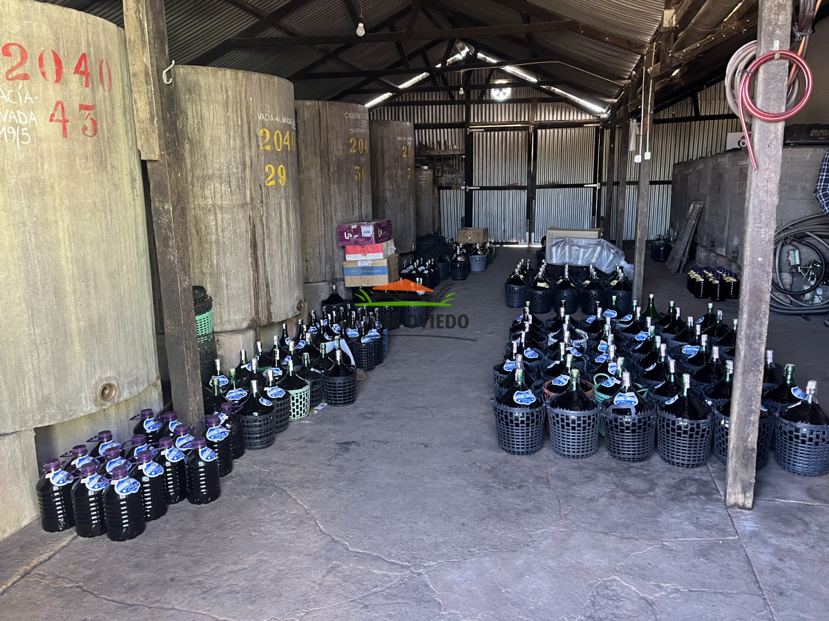 Chacra ID.255/Excelente-oportunidad-antigua-Bodega-y-viñedos-en-venta-en-Carmelo. - Excelente oportunidad antigua Bodega y viñedos en venta en Carmelo.