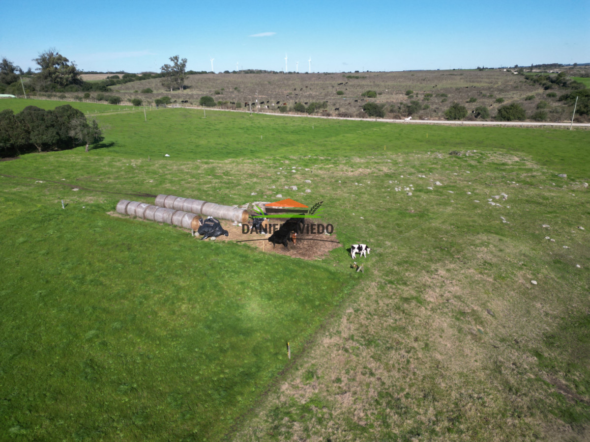 Chacra ID.403/Chacra-de-5,2-hect - Chacra de 5,2 hectáreas en venta próxima a Rosario - Colonia