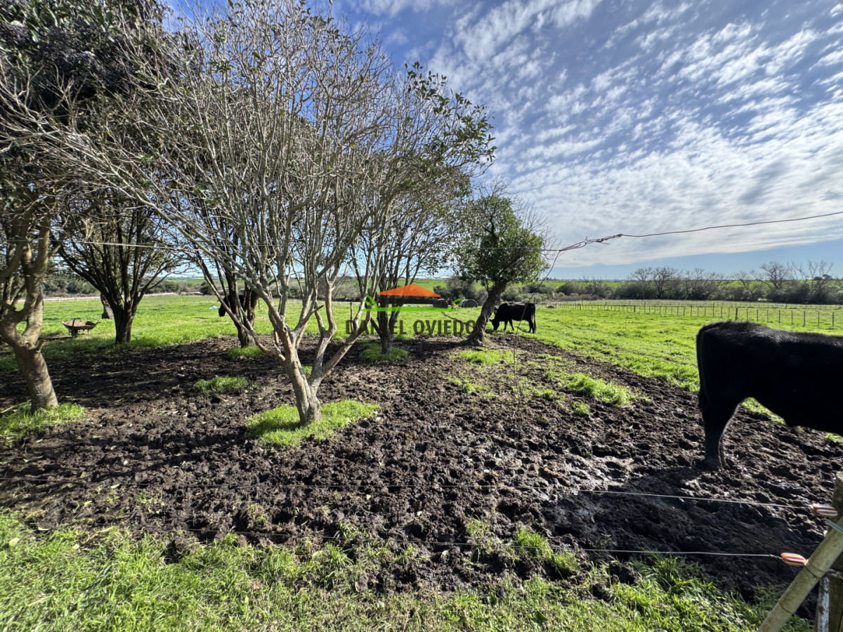 Chacra ID.403/Chacra-de-5,2-hect - Chacra de 5,2 hectáreas en venta próxima a Rosario - Colonia