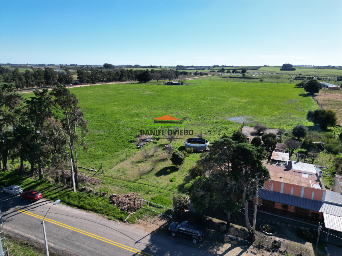 Chacra ID.240/Excelente-chacra-en-venta-con-3-casas-ubicada-a-5-km-de-Carmelo. - Excelente chacra en venta con 3 casas ubicada a 5 km de Carmelo.