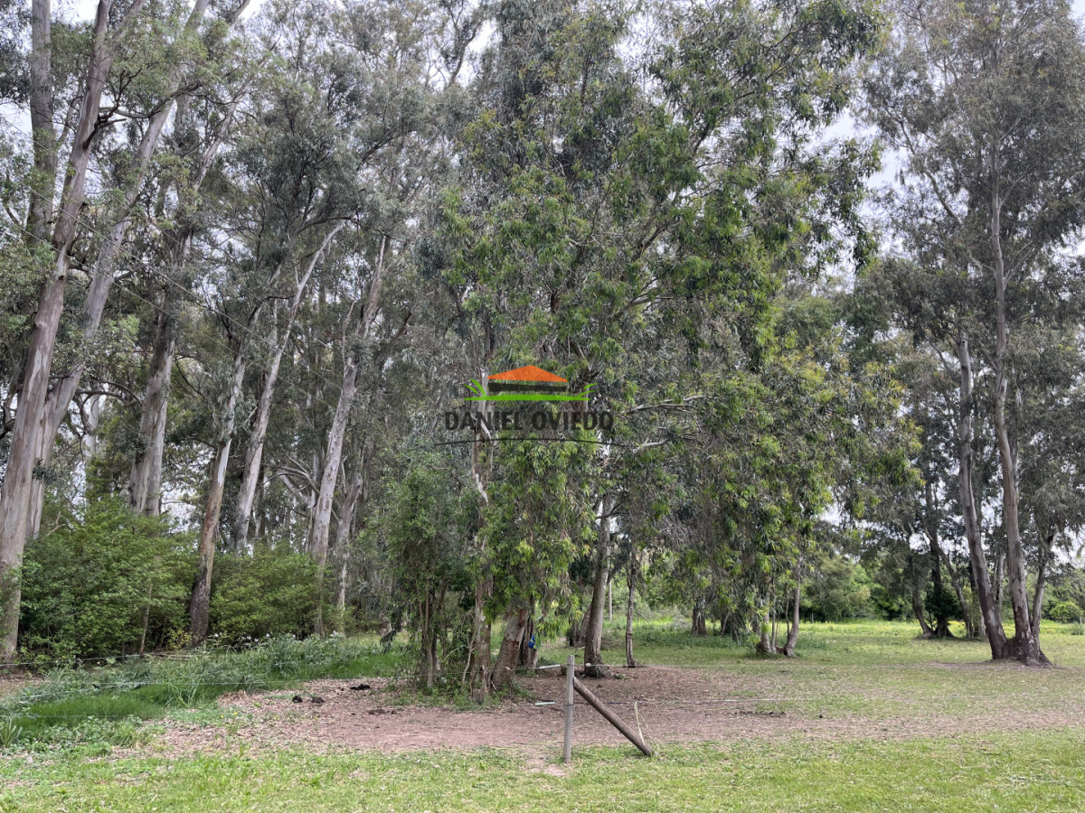 Chacra ID.286/Chacra-con-6-aptos-en-venta-muy-bien-ubicada-en-Colonia-Estrella-ruta-21. - Chacra con 6 aptos en venta muy bien ubicada en Colonia Estrella ruta 21.