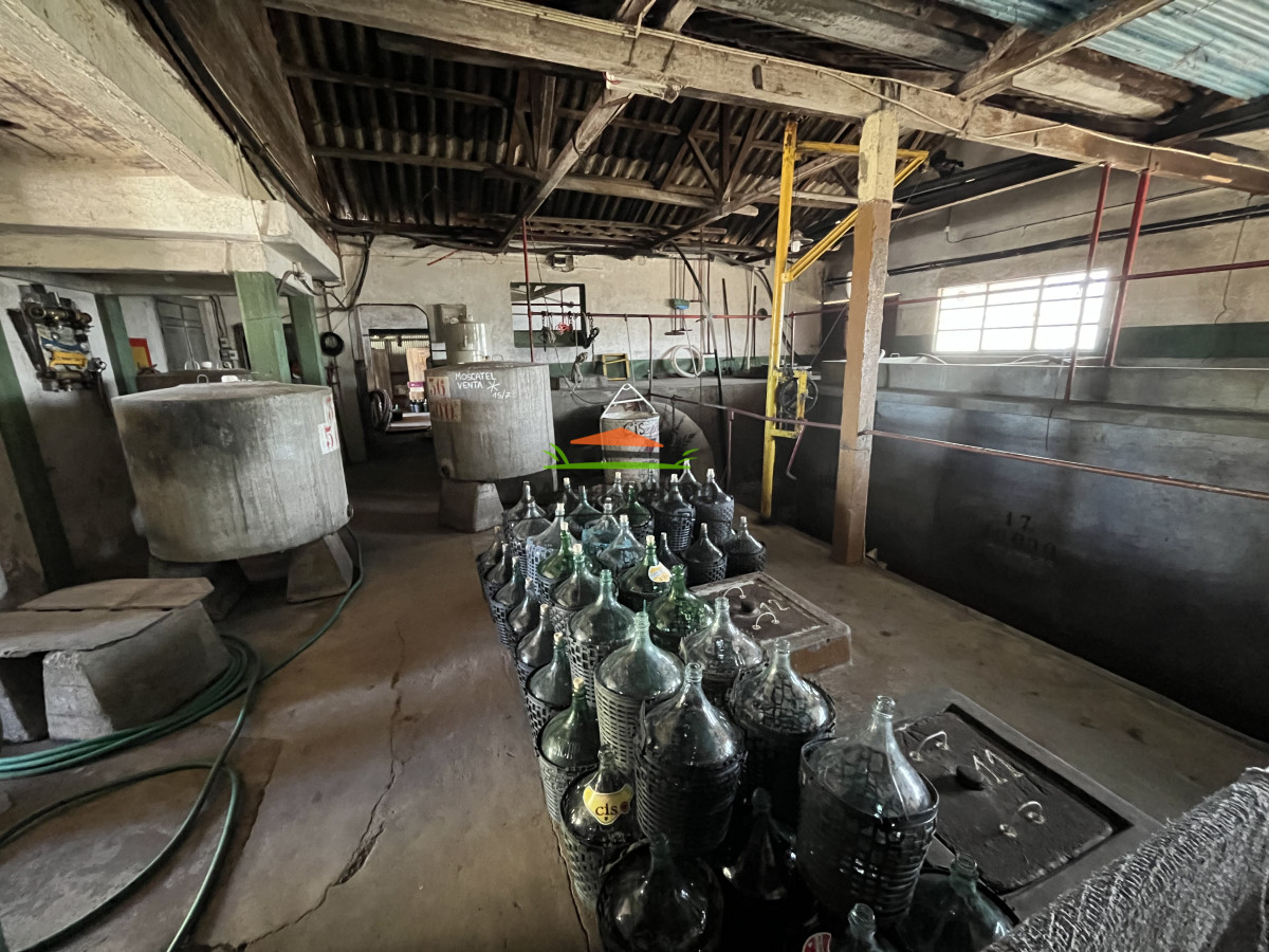 Chacra ID.255/Excelente-oportunidad-antigua-Bodega-y-viñedos-en-venta-en-Carmelo. - Excelente oportunidad antigua Bodega y viñedos en venta en Carmelo.