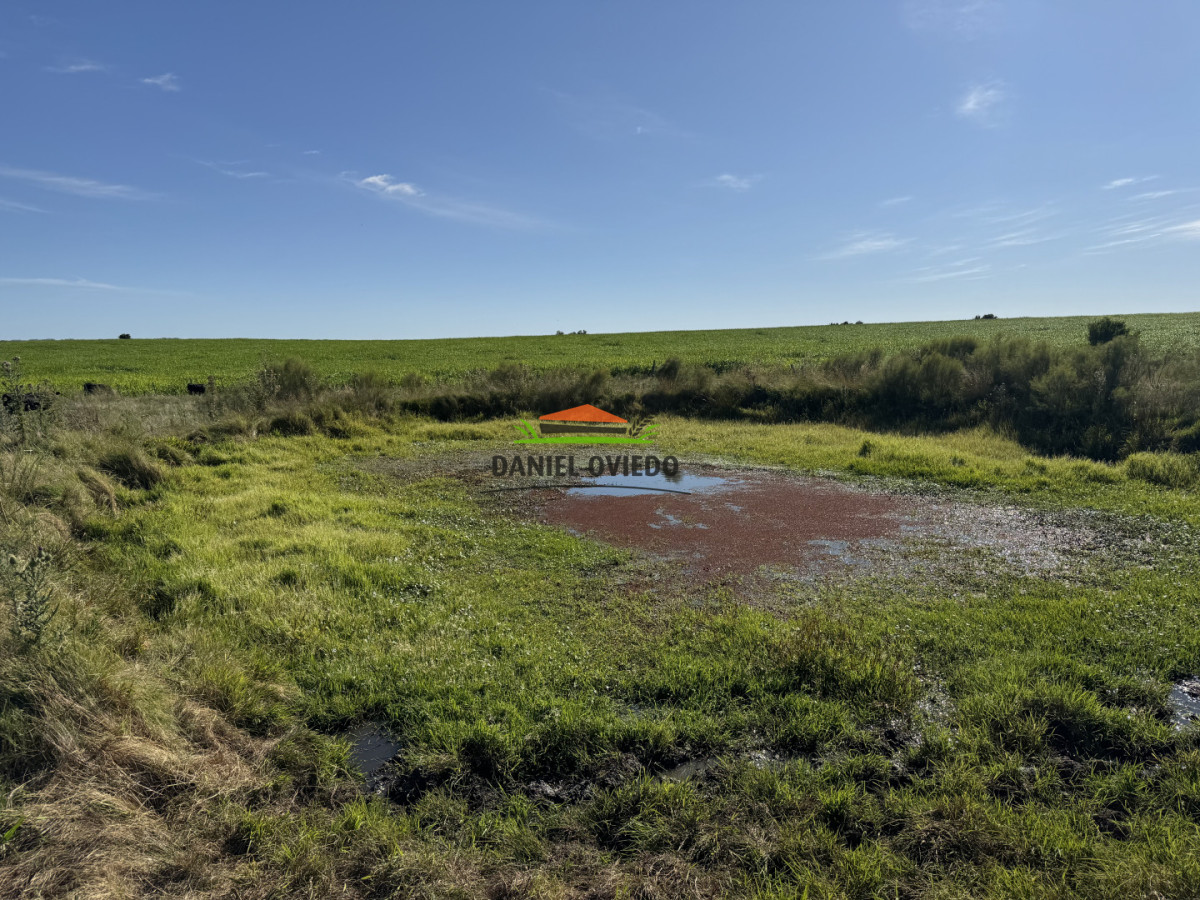 Chacra ID.344/Chacra-de-5,5-hect - Chacra de 5,5 hectáreas con agua en Cufré - Departamento de Colonia