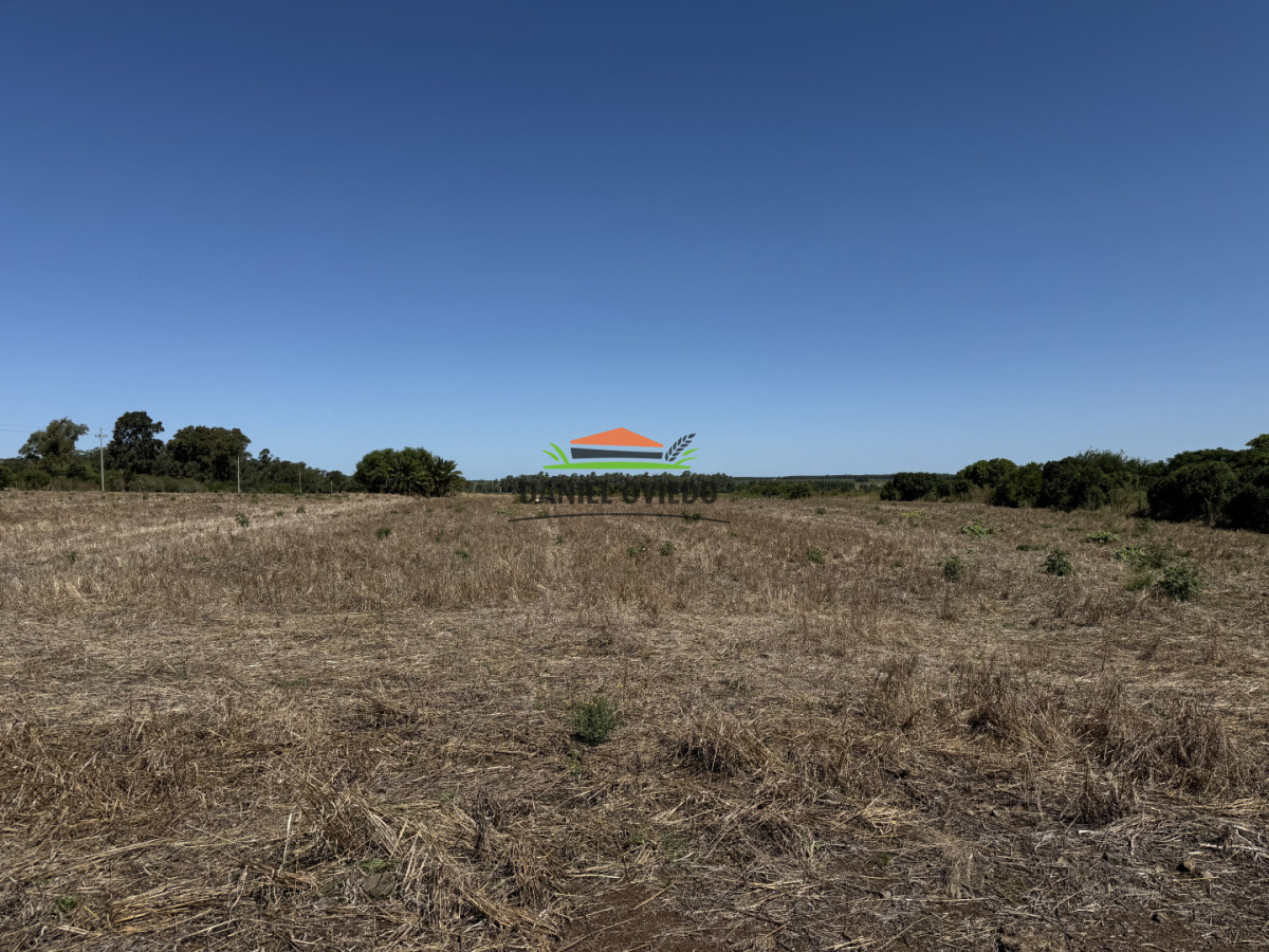 Chacra ID.337/Chacra-de-8-h - Chacra de 8 hás sobre Ruta 23 - San José