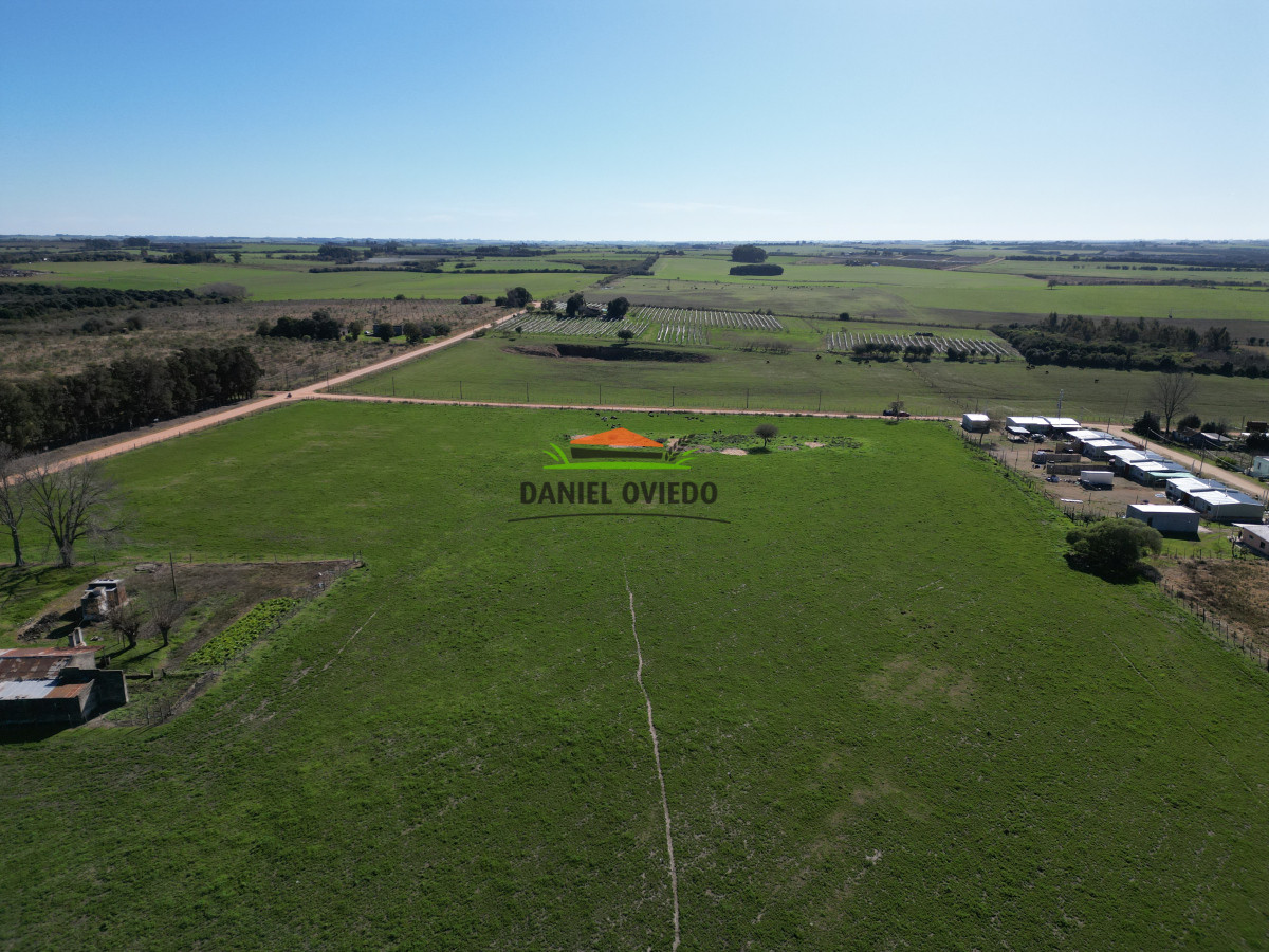 Chacra ID.240/Excelente-chacra-en-venta-con-3-casas-ubicada-a-5-km-de-Carmelo. - Excelente chacra en venta con 3 casas ubicada a 5 km de Carmelo.