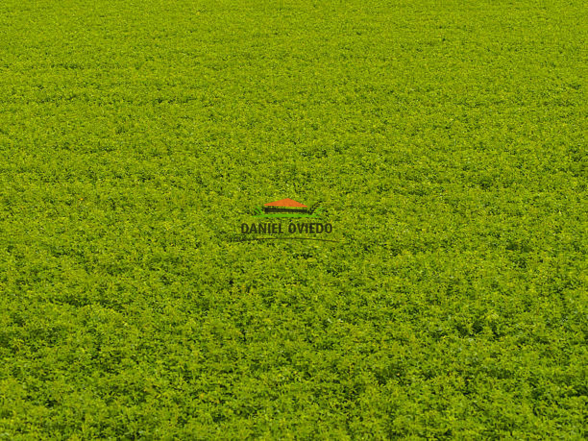 Chacra ID.353/Gran-oportunidad-chacra-en-venta-pr - Gran oportunidad chacra en venta próxima Pan de Azucar y ruta 9.