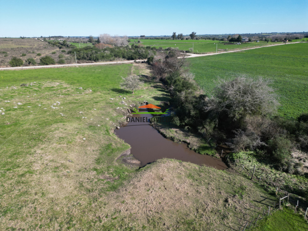 Chacra ID.403/Chacra-de-5,2-hect - Chacra de 5,2 hectáreas en venta próxima a Rosario - Colonia