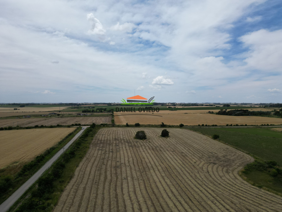 Chacra ID.328/Chacra-de-5-h - Chacra de 5 hás con vista al río en venta en San Pedro.