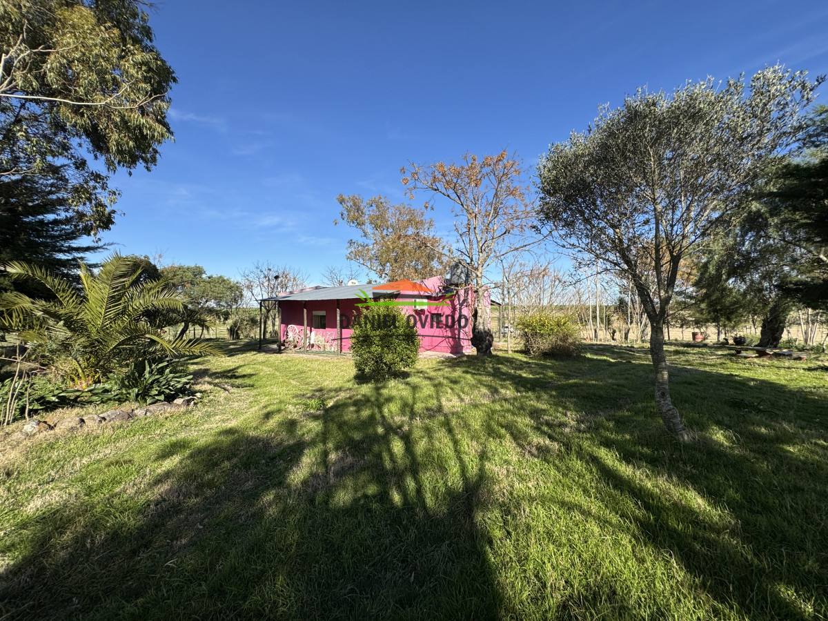 Chacra ID.251/Oportunidad-Chacra-30-Has-en-Soriano-con-Casa,-Galpón-y-Mejoras - Oportunidad Chacra 30 Has en Soriano con Casa, Galpón y Mejoras