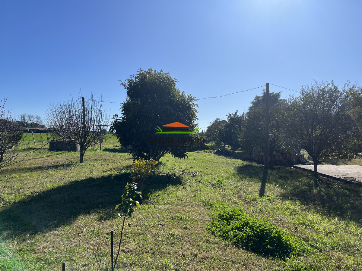 Chacra ID.240/Excelente-chacra-en-venta-con-3-casas-ubicada-a-5-km-de-Carmelo. - Excelente chacra en venta con 3 casas ubicada a 5 km de Carmelo.