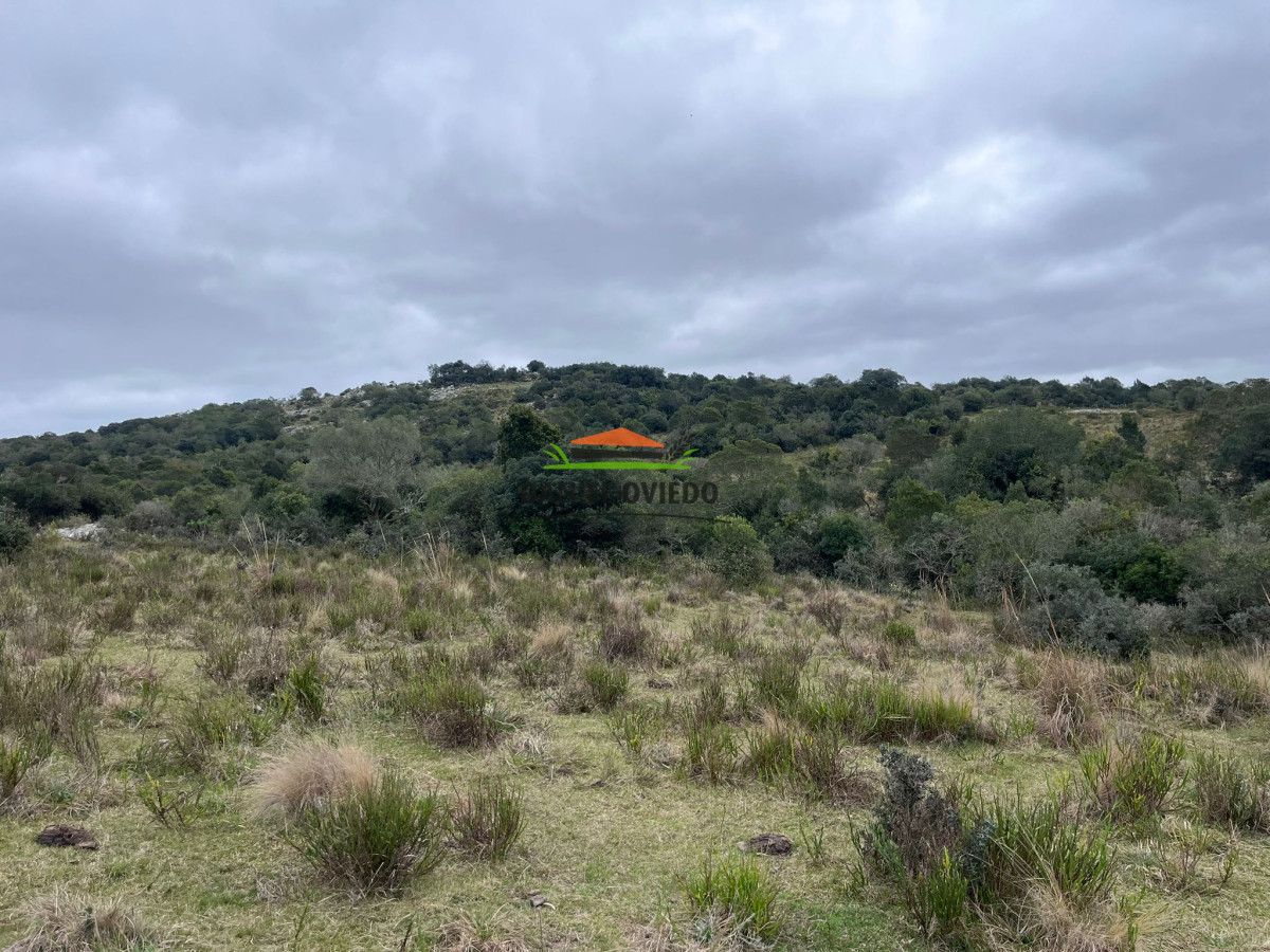 Chacra ID.310/Gran-oportunidad-chacra-en-venta-en-sierras-de-Garz - Gran oportunidad chacra en venta en sierras de Garzón.