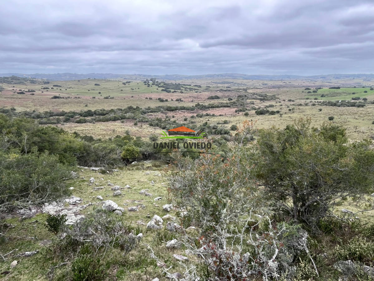 Chacra ID.310/Gran-oportunidad-chacra-en-venta-en-sierras-de-Garz - Gran oportunidad chacra en venta en sierras de Garzón.