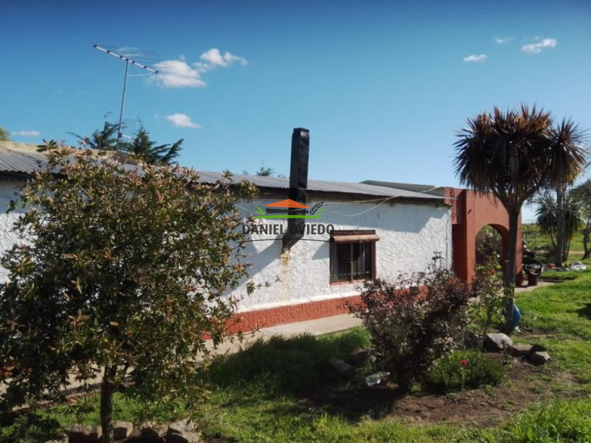 Chacra ID.58 - Chacra en venta a 2 Km de Carmelo, increíble ubicación.