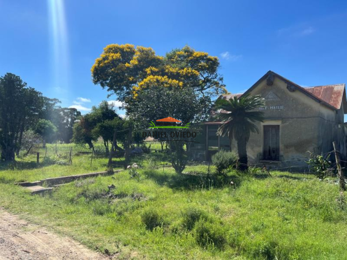 Chacra ID.49 - Muy buena ubicación chacra en venta en una de las mejores zonas de Nueva Helvecia.