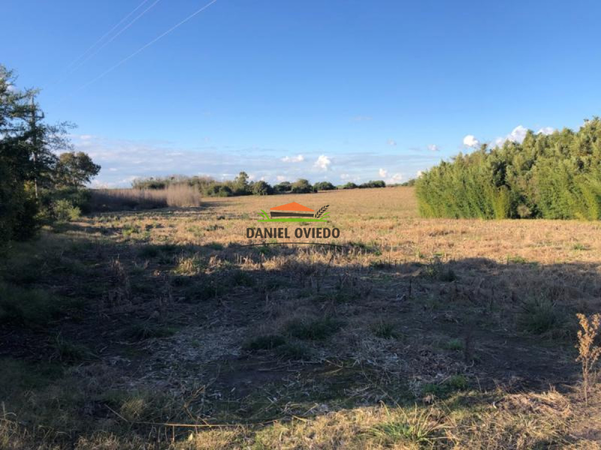 Chacra ID.94 - Chacra en venta con frente a ruta Nacional 52 asfaltada.