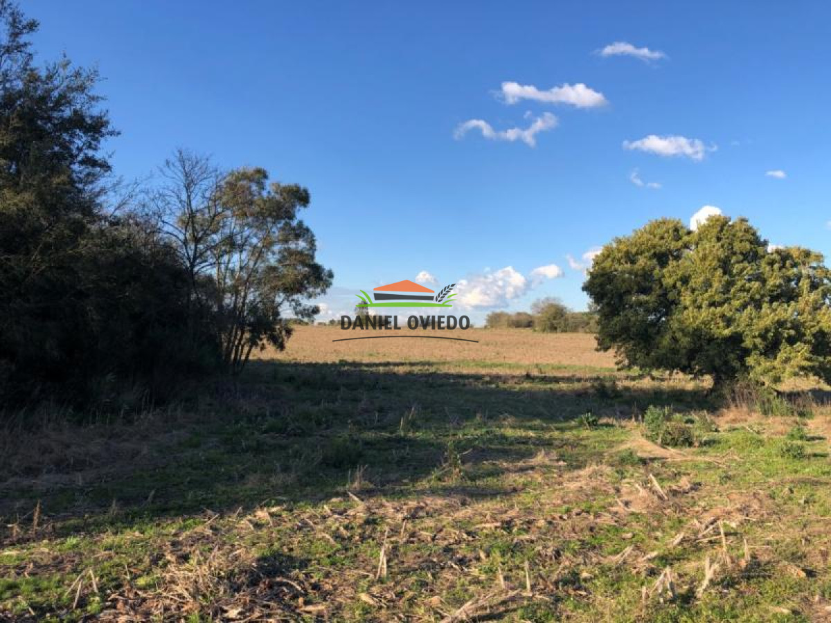 Chacra ID.94 - Chacra en venta con frente a ruta Nacional 52 asfaltada.