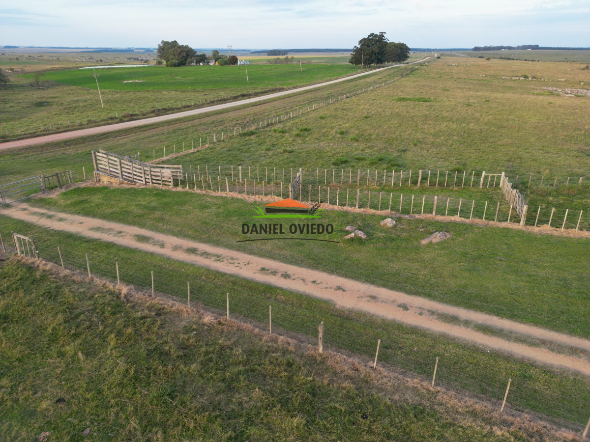 Campo Ref.201 - Establecimiento completo de 400 hás en venta en Flores.