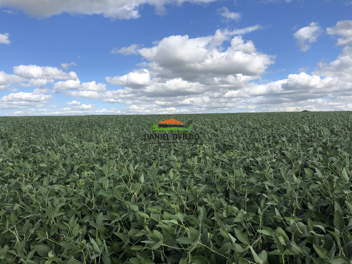 Campo Ref.191 - Oportunidad de inversión, campo agrícola en venta en Lavalleja.