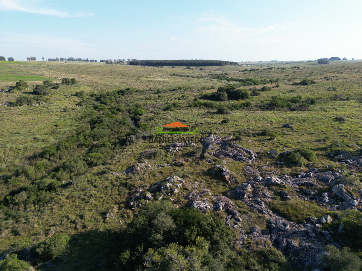 Campo Ref.201 - Establecimiento completo de 400 hás en venta en Flores.