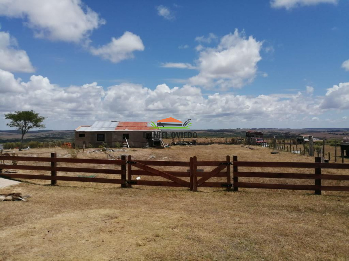 Campo Ref.74 - Campo ganadero forestal en venta de 595 hás, Cerro Largo.