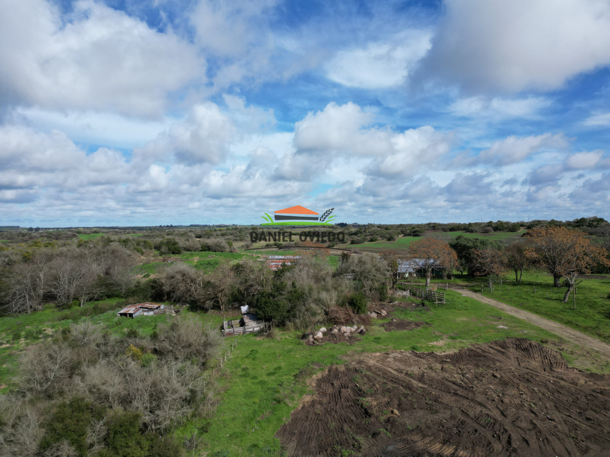 Campo Ref.249/Buen-campo-ganadero-en-venta-ideal-para-engorde. - Buen campo ganadero en venta ideal para engorde.