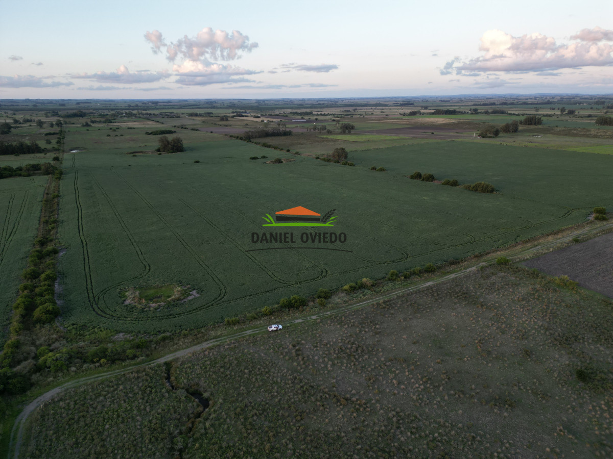 Campo Ref.191 - Oportunidad de inversión, campo agrícola en venta en Lavalleja.