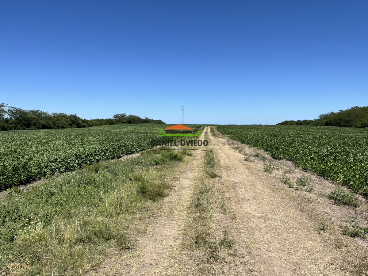 Campo Ref.17 - Campo agrícola - ganadero de 143 hás en venta, Conchillas.