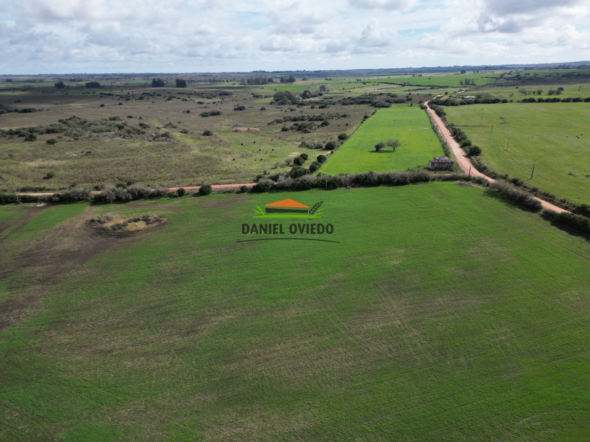 Campo Ref.249/Buen-campo-ganadero-en-venta-ideal-para-engorde. - Buen campo ganadero en venta ideal para engorde.