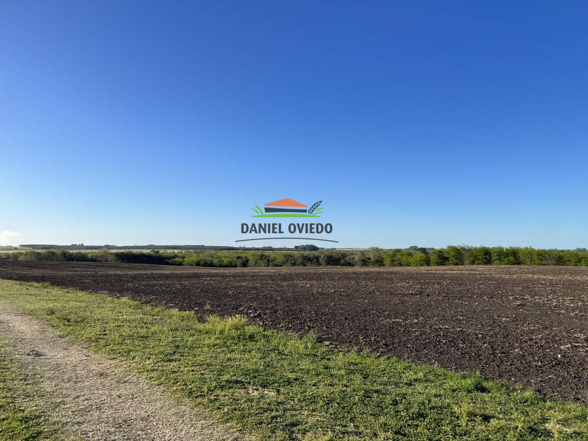 Campo Ref.17 - Campo agrícola - ganadero de 143 hás en venta, Conchillas.
