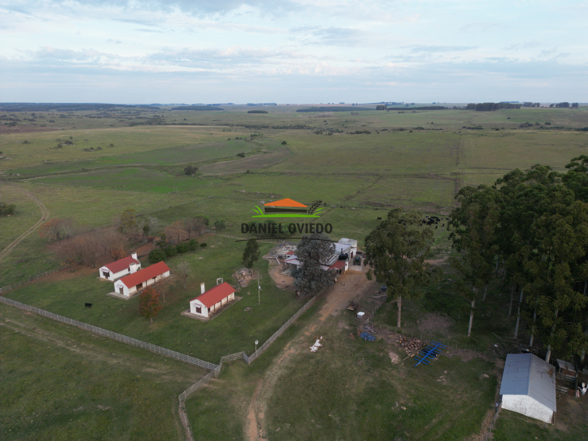 Campo Ref.201 - Establecimiento completo de 400 hás en venta en Flores.