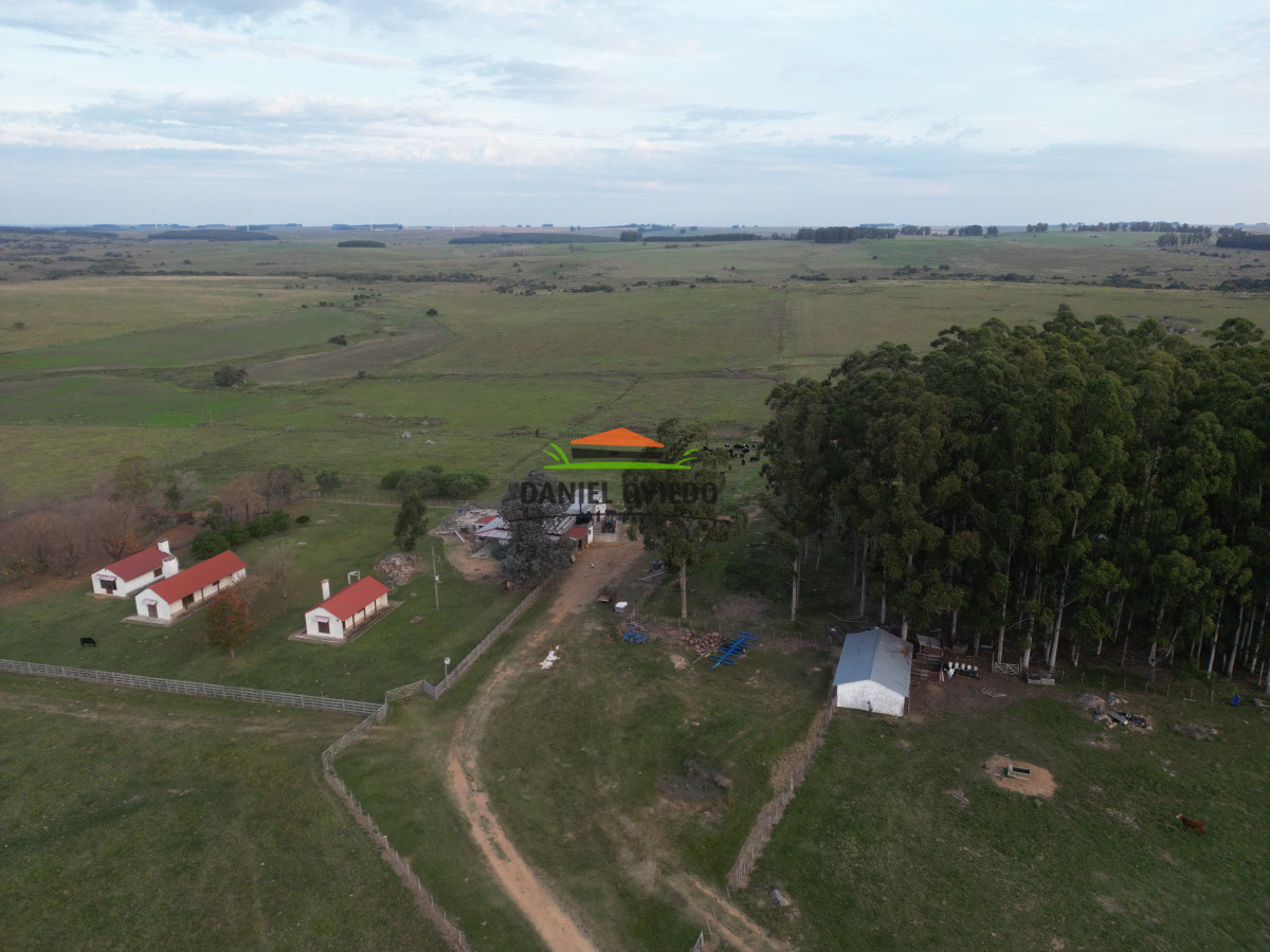 Campo Ref.201 - Establecimiento completo de 400 hás en venta en Flores.