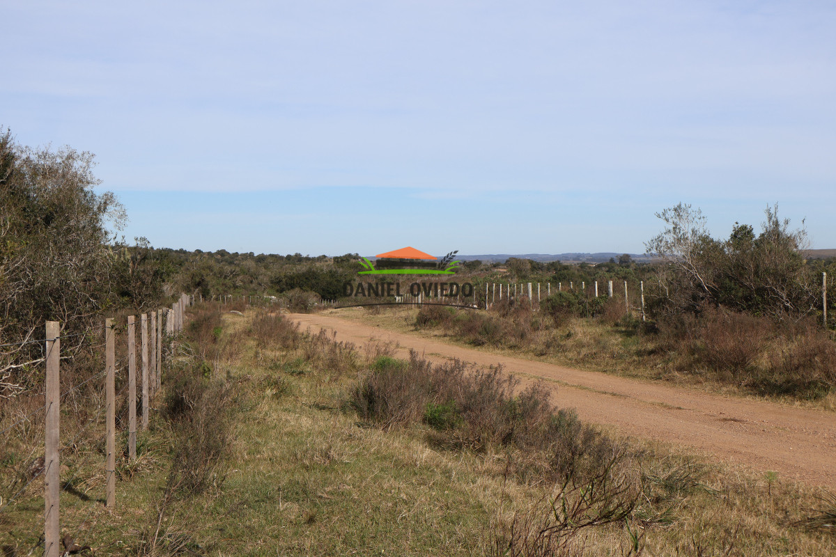 Campo Ref.213 - La Estancia La Alegría, 470 has en venta en Cerro Largo.