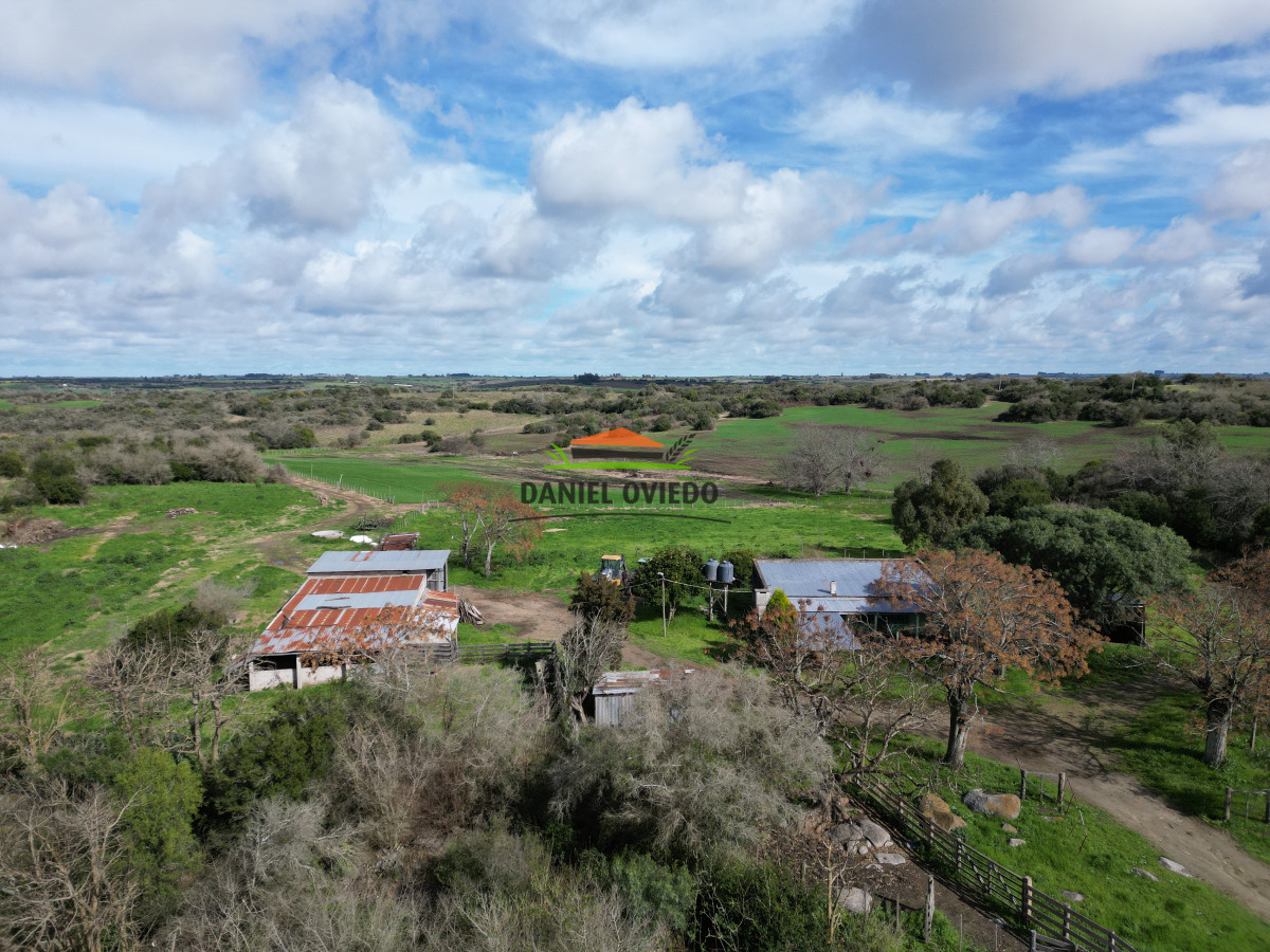 Campo Ref.249/Buen-campo-ganadero-en-venta-ideal-para-engorde. - Buen campo ganadero en venta ideal para engorde.