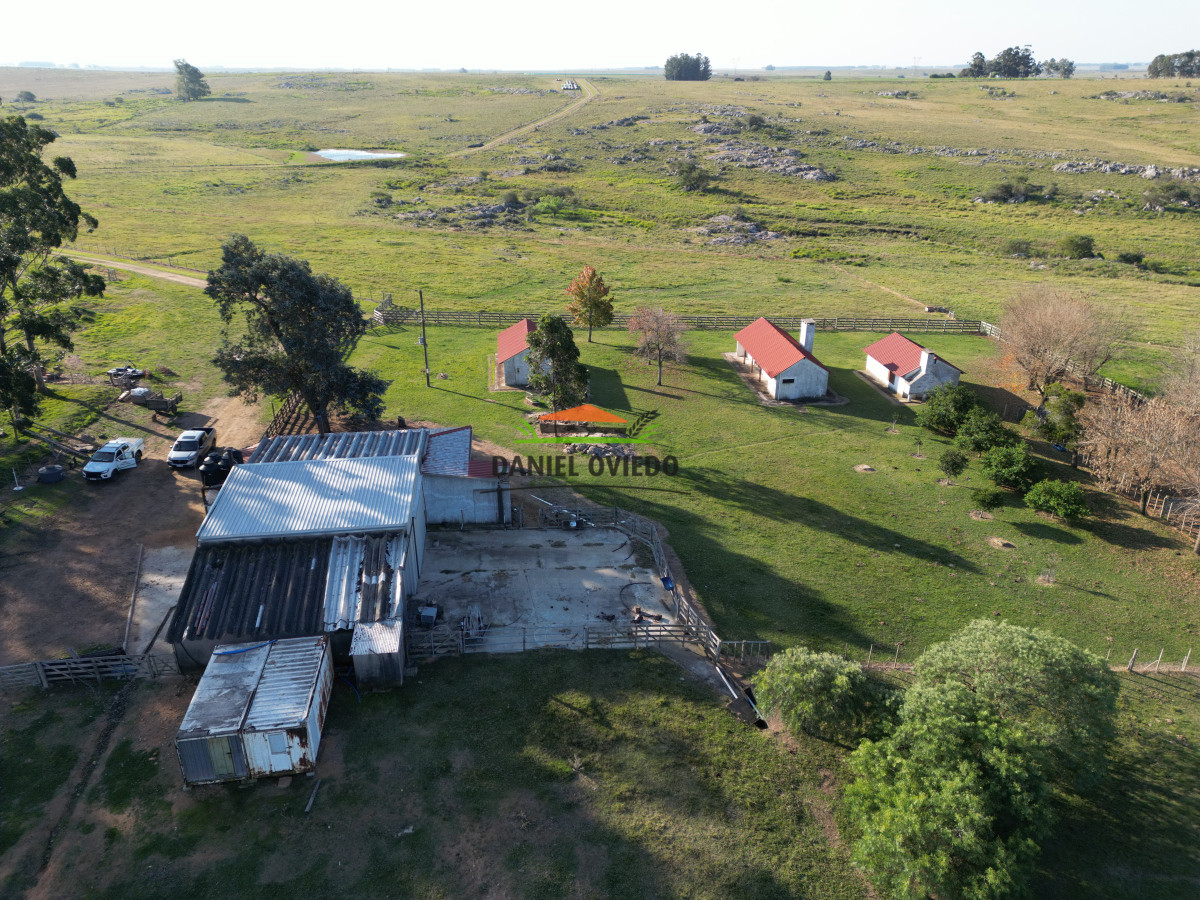 Campo Ref.201 - Establecimiento completo de 400 hás en venta en Flores.