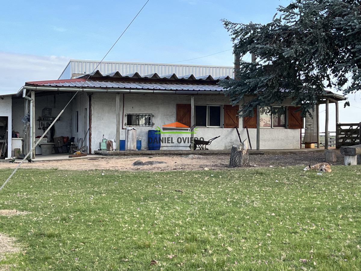 Campo Ref.201 - Establecimiento completo de 400 hás en venta en Flores.