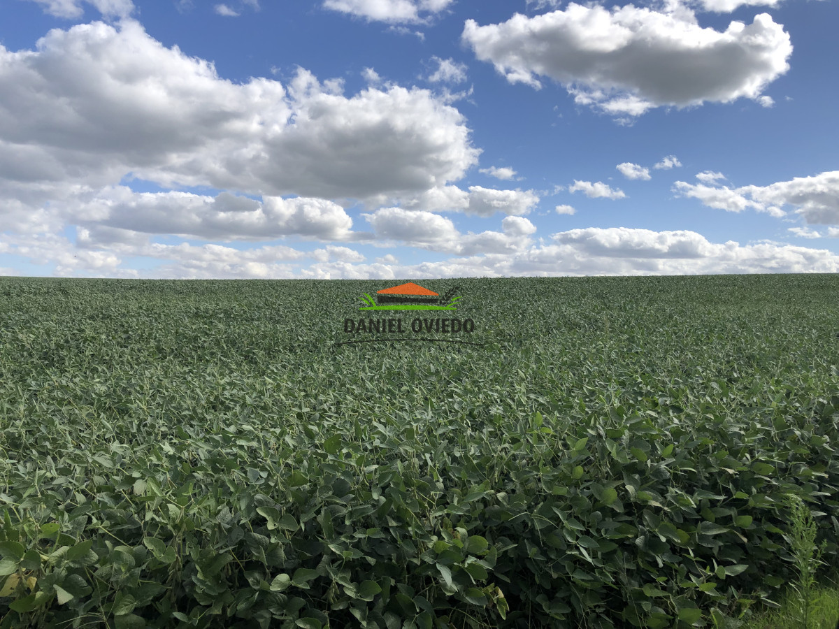 Campo Ref.191 - Oportunidad de inversión, campo agrícola en venta en Lavalleja.