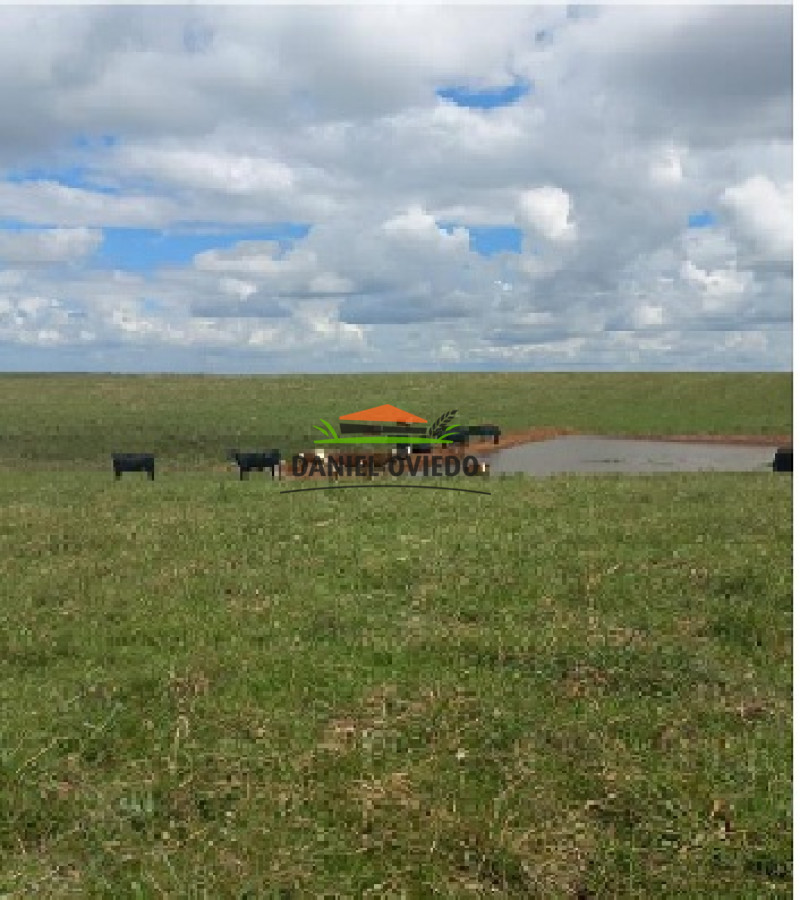 Campo Ref.145 - Establecimiento de 3.000 hás en venta en Cerro Largo.