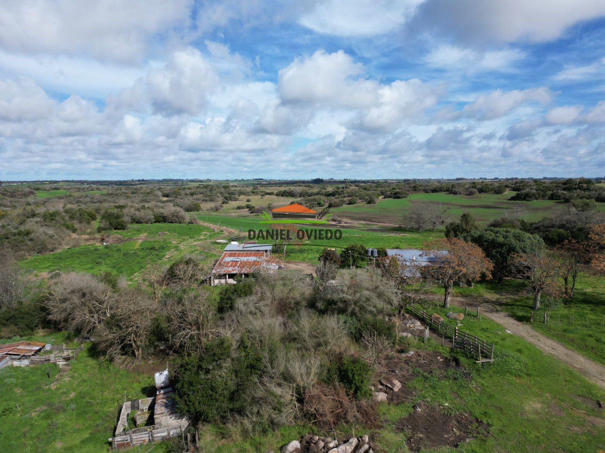 Campo Ref.249/Buen-campo-ganadero-en-venta-ideal-para-engorde. - Buen campo ganadero en venta ideal para engorde.
