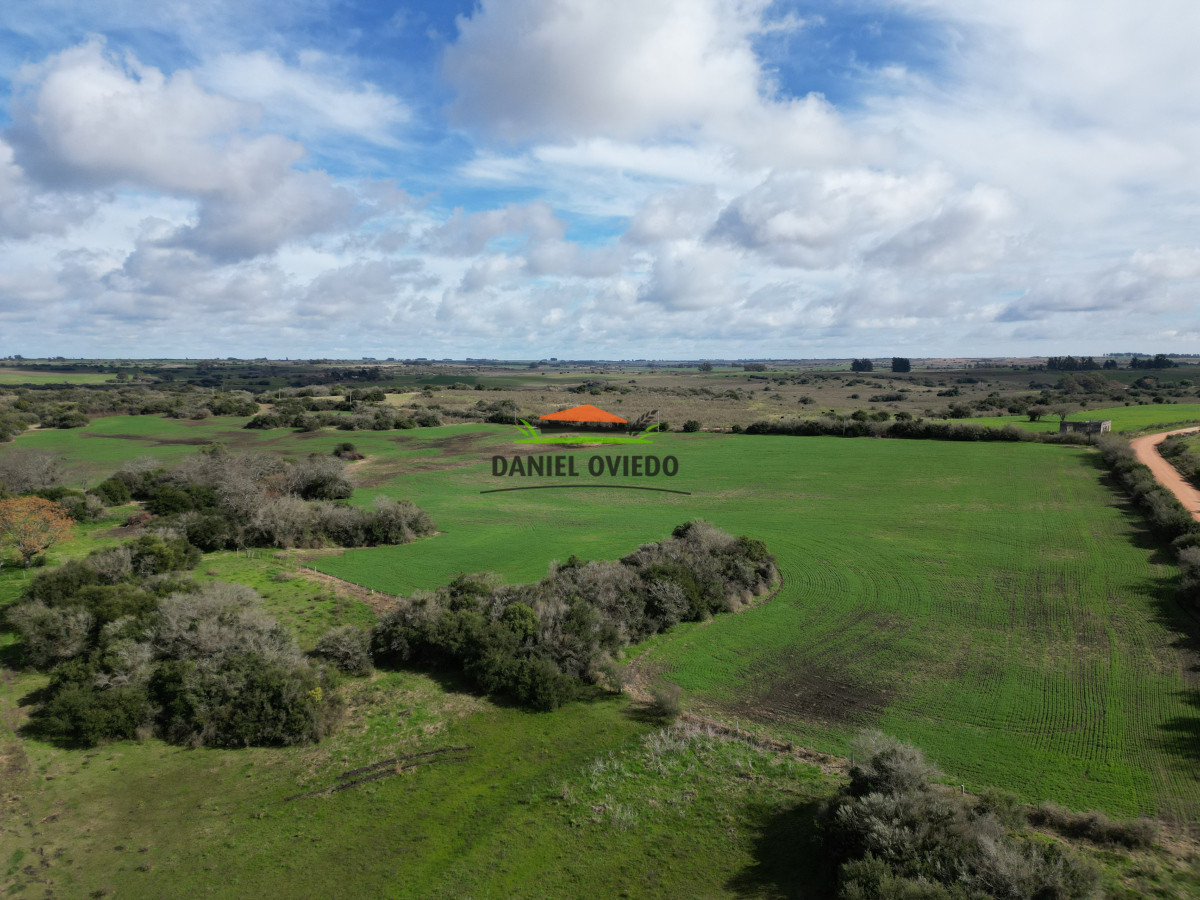 Campo Ref.249/Buen-campo-ganadero-en-venta-ideal-para-engorde. - Buen campo ganadero en venta ideal para engorde.