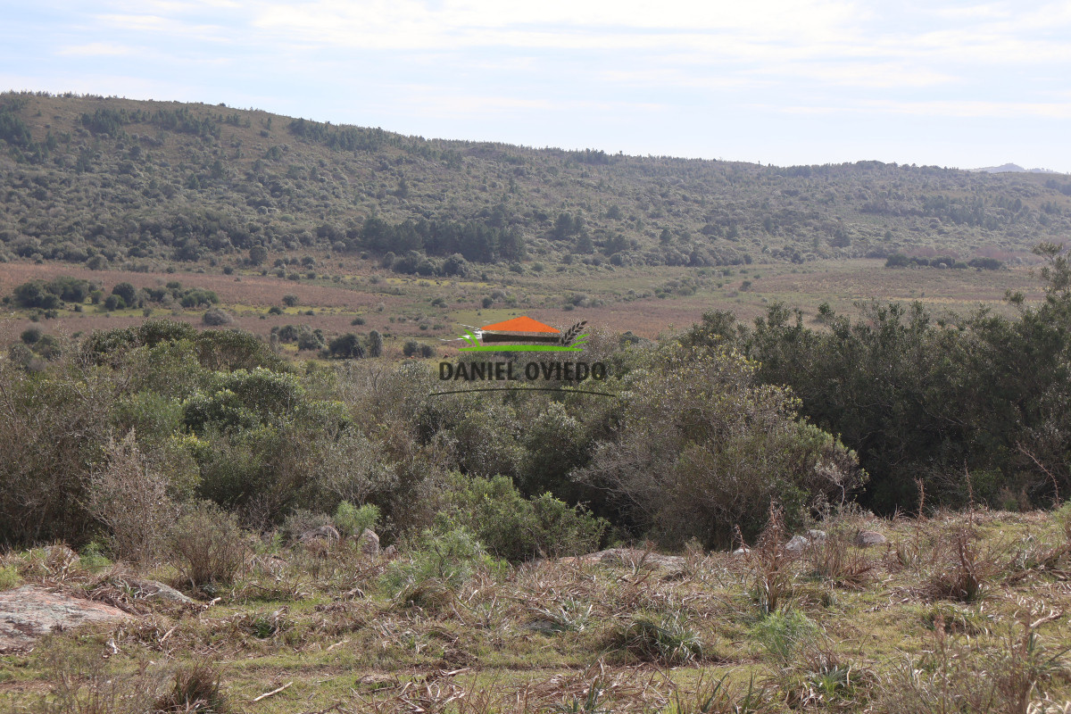 Campo Ref.213 - La Estancia La Alegría, 470 has en venta en Cerro Largo.